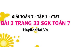 Giải bài 3 trang 33 Toán 7 Tập 1 SGK Chân trời sáng tạo